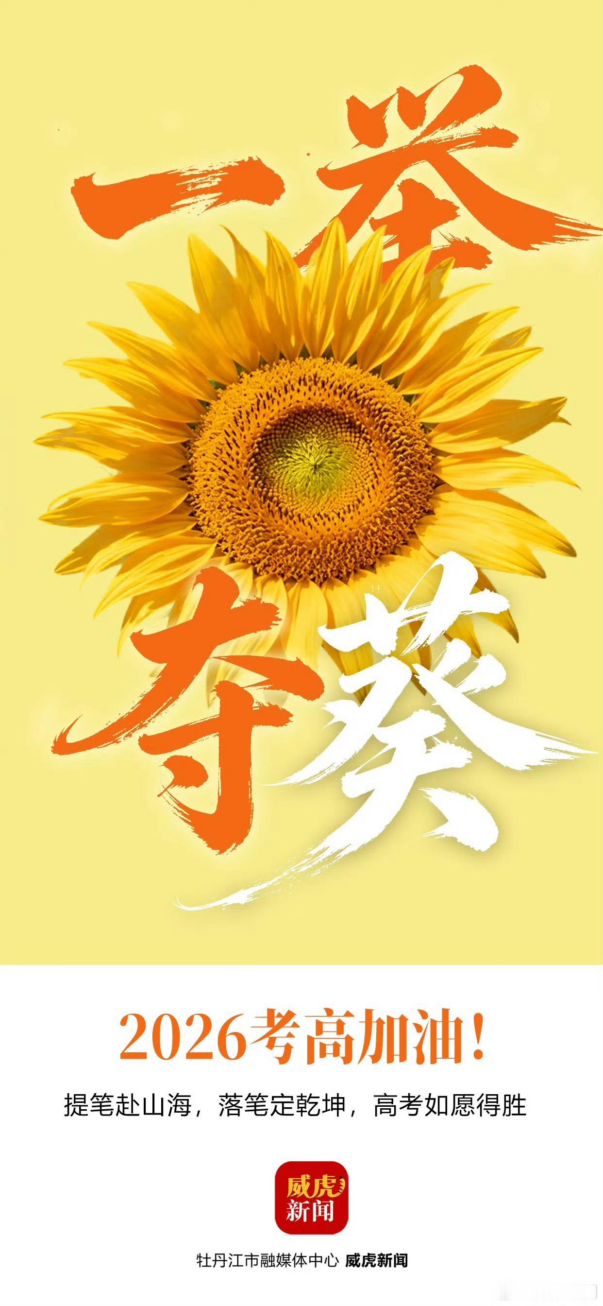 高考第一天三年拼搏在此一刻，放手去考，未来闪闪发光！ 
