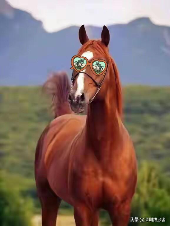 一前一后出事的两个人明显给渔村丢脸了。一直觉得很蹊跷，他们本无不搭界，却进了同一