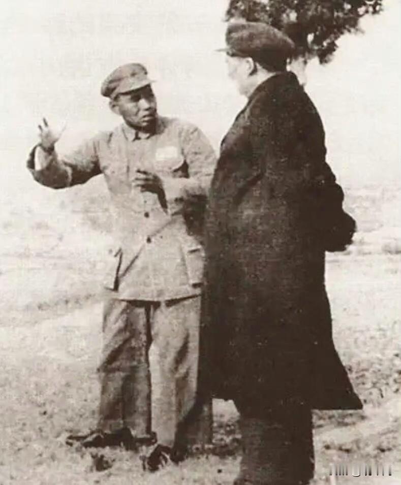 1952年，伟人登四里山祭拜烈士，环顾四周说了一句话，此山从此改名

1952年