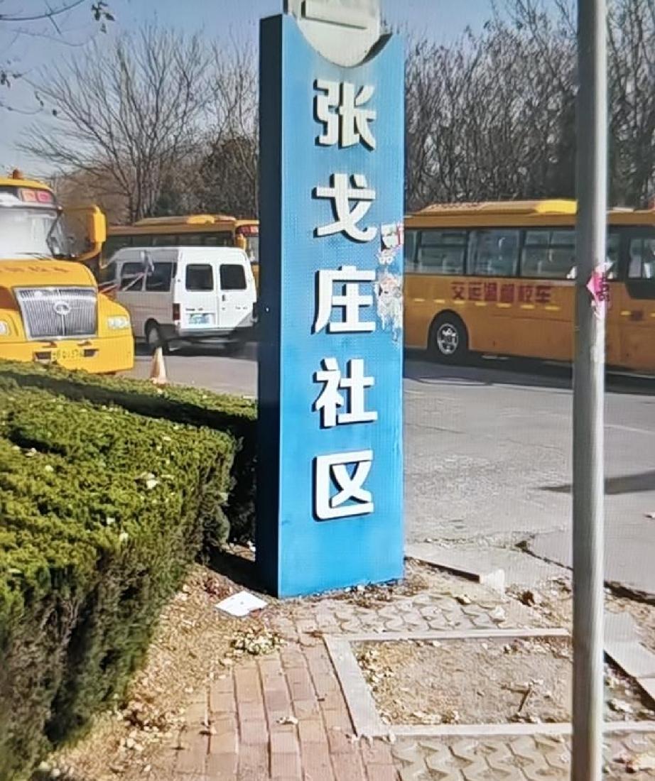 前些日子，青岛市西海岸新区黄岛街道张戈庄村发现了一座古墓，目前该古墓正在考古发掘