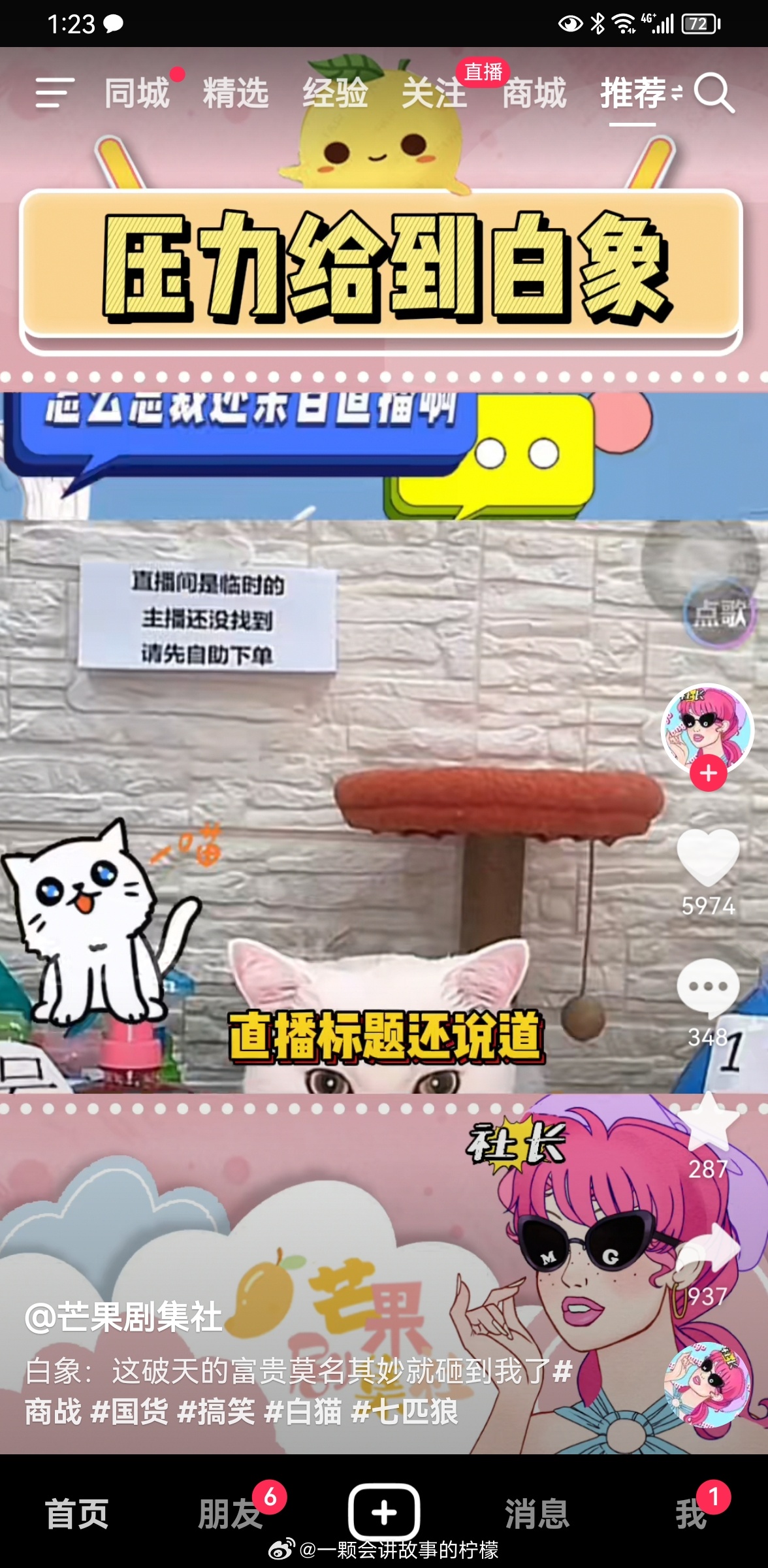 白猫波波间里真有一只白色的猫，金丝猴也真有猴儿，连白象都有大象了，现在压力给到七