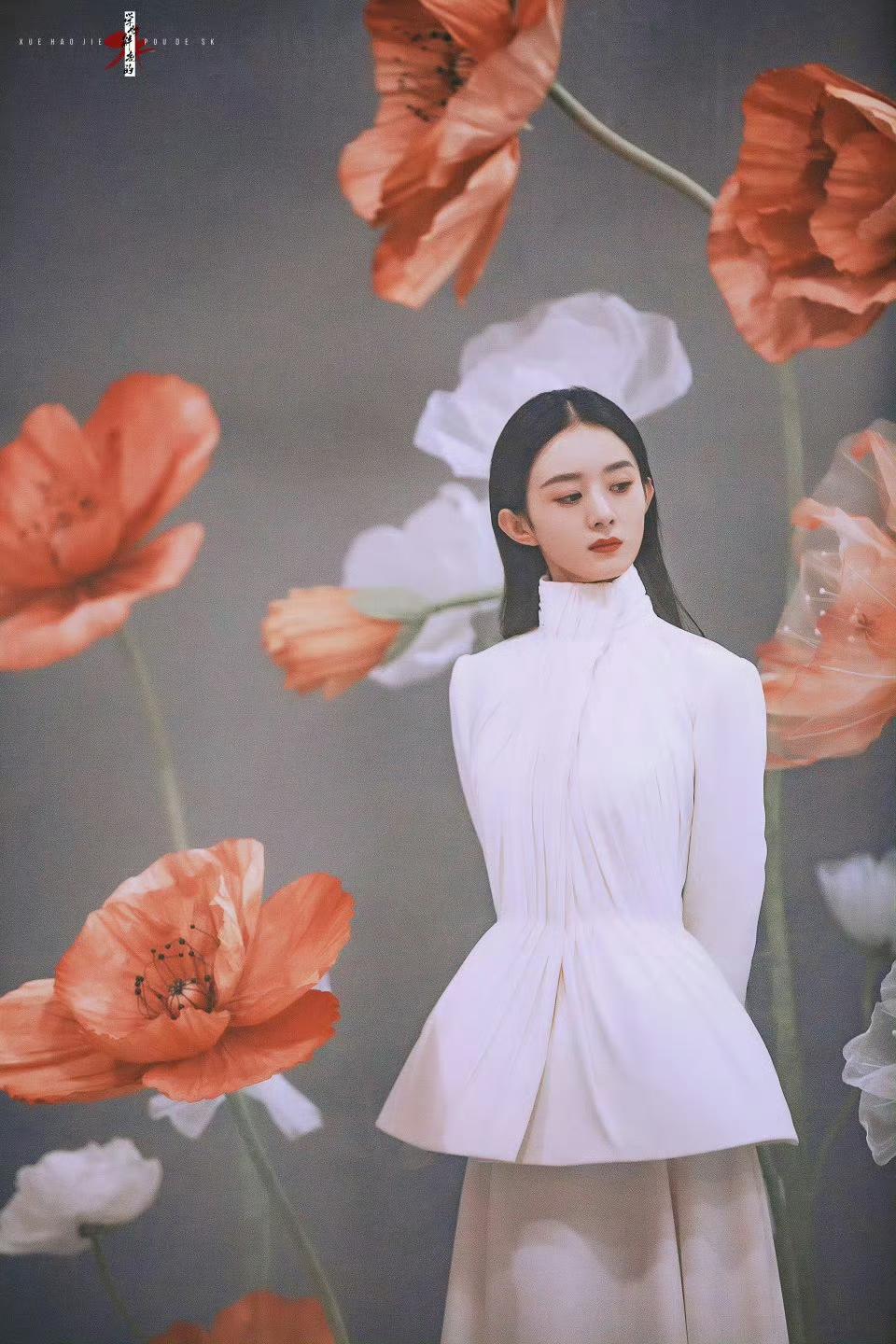赵丽颖花海造型写真｜人间花仙子如期而至
巨型花朵环绕身旁，一袭简约长裙衬托温婉轮