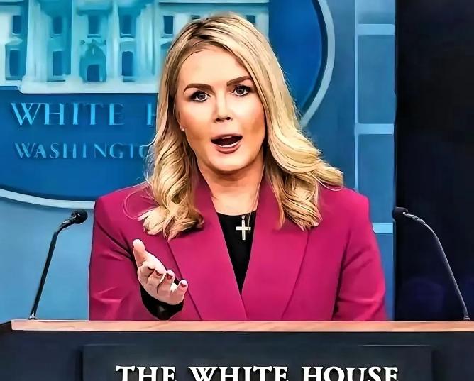 中日闹那么多天，躲在日本背后的第二条大鱼被我们钓了出来。

11月20日白宫直接