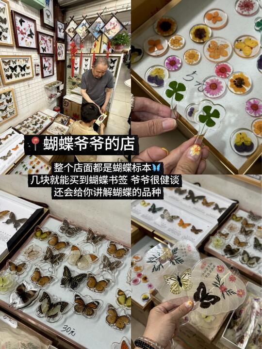 来翠湖一定要办的7件事！！！！！！