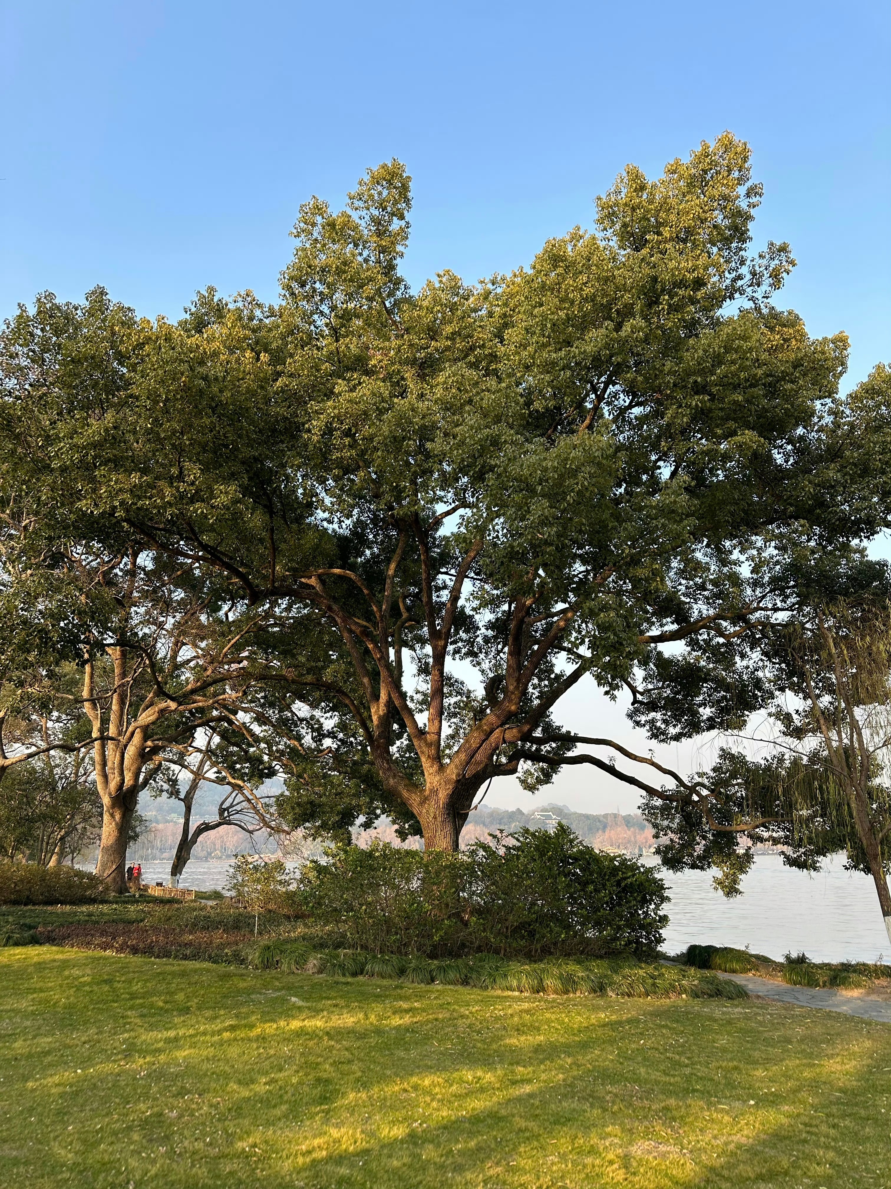 其实我咨询中有一种情况还算常见——一个人因为常年被家庭困住而导致的整个家庭鸡飞狗