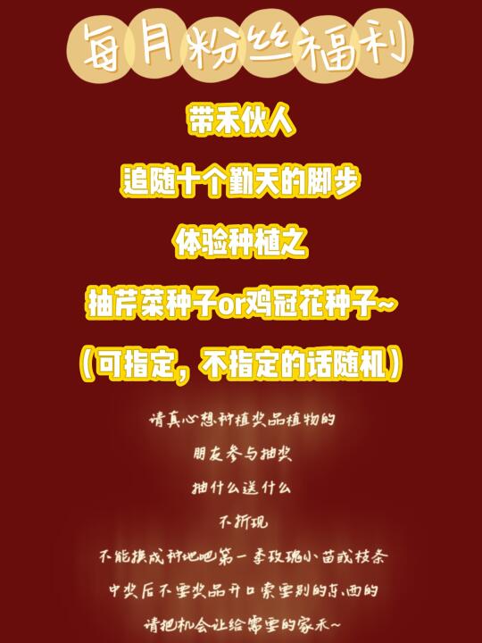 带禾伙人体验种植之抽芹菜种子or鸡冠花种子