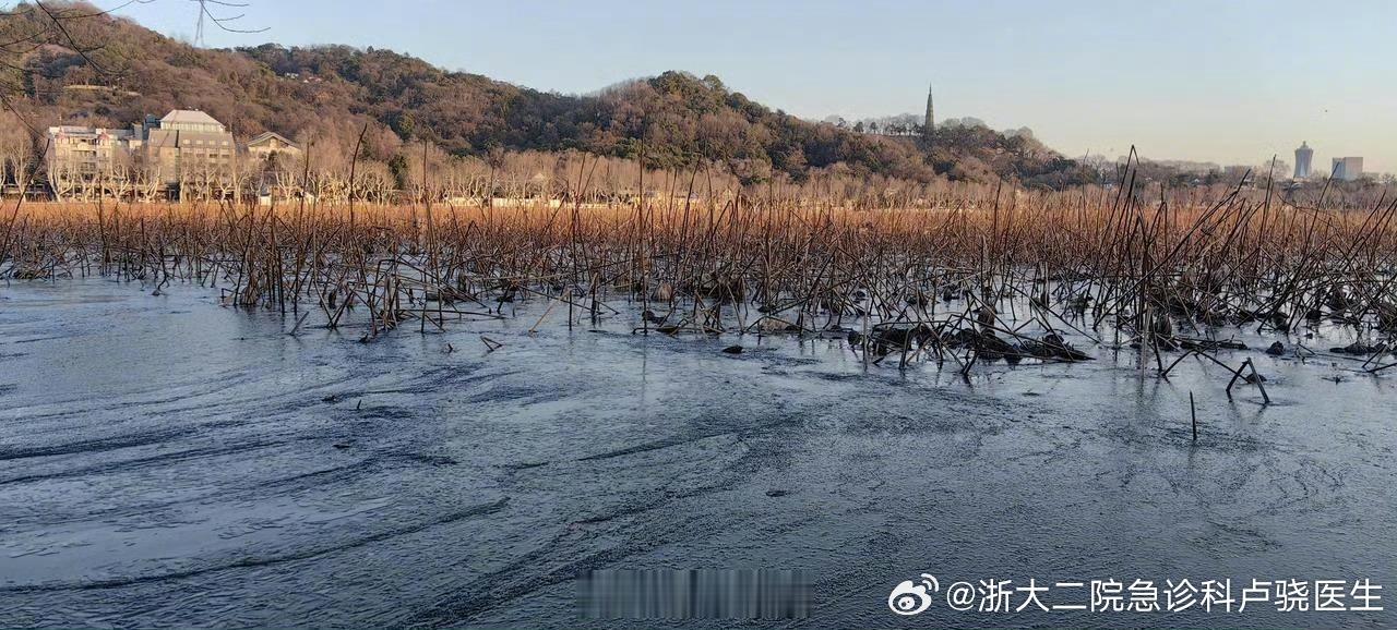 多地今冬最冷白天 西湖都结冰了[允悲]，冻死在杭州的春天 