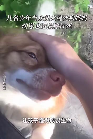 广东揭阳这事儿传出来，网上那股子邪火蹭一下就窜到了天灵盖，谁看了都得骂一句天生坏
