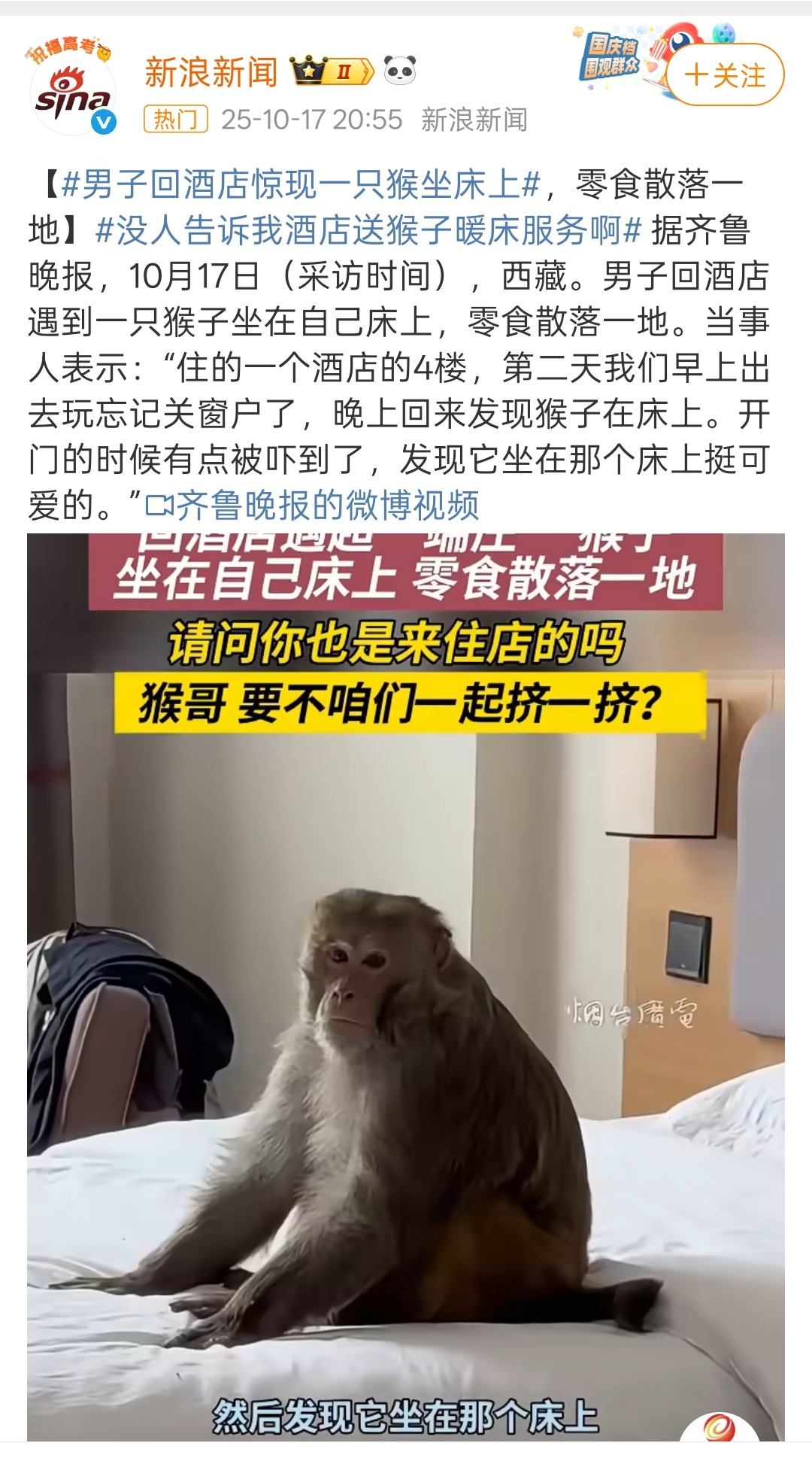 男子回酒店惊现一只猴坐床上哈哈，这个是公猴还是母的？现在酒店又可拓展新业务了。如