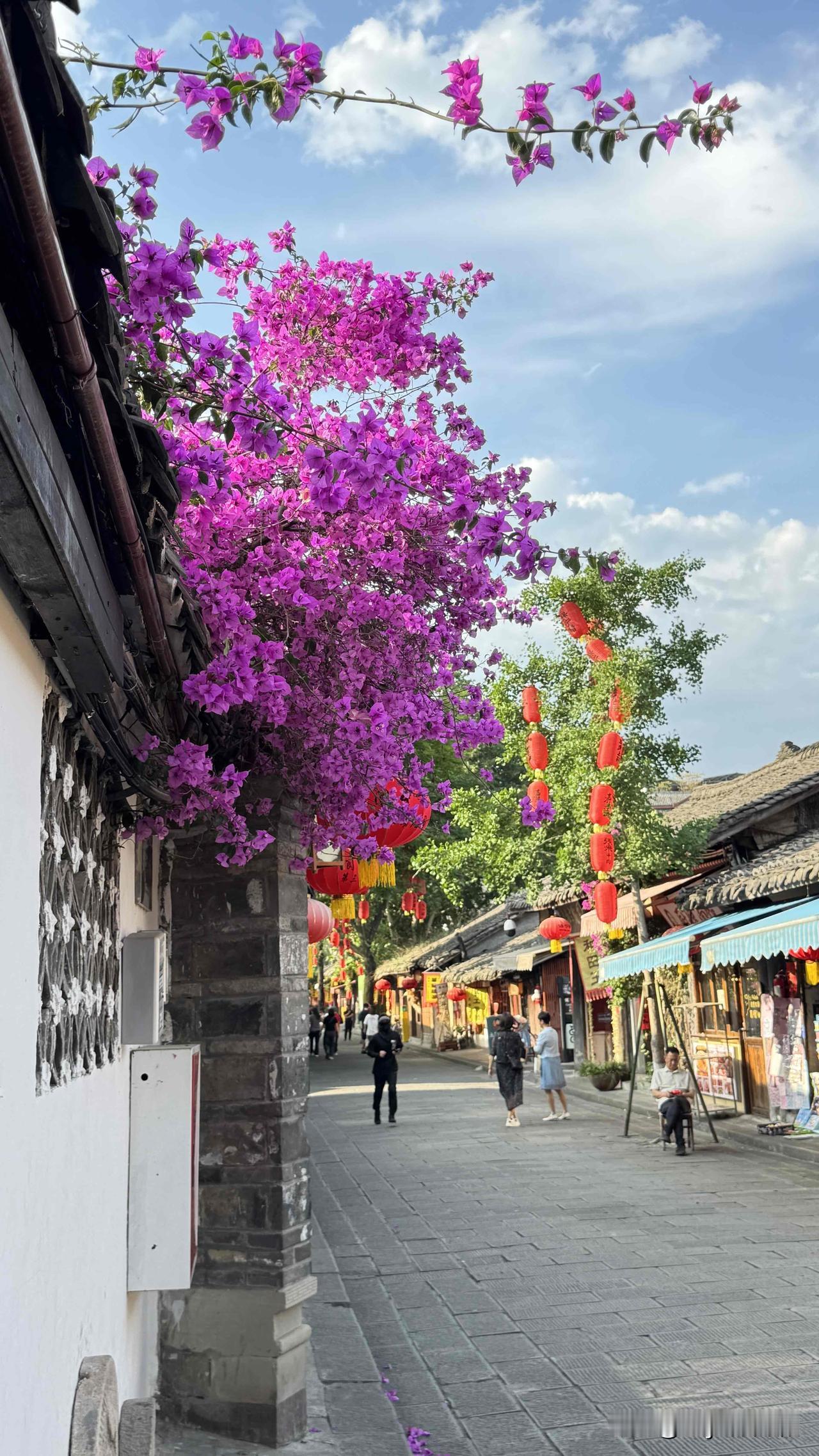 ，什么花都行
