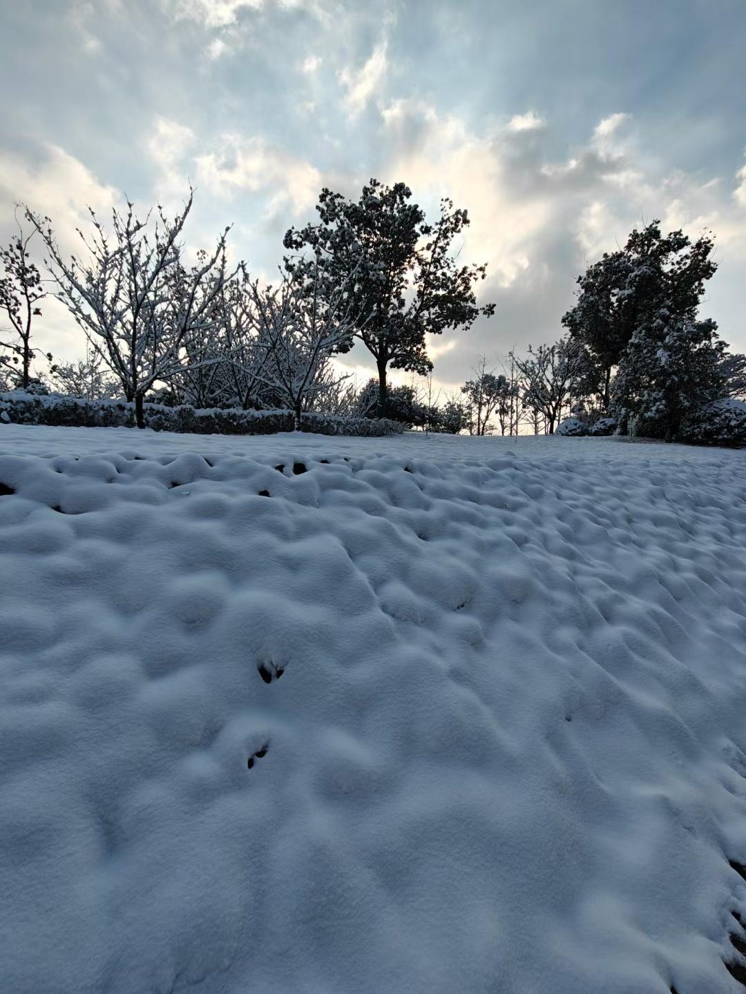 金华这场雪真够大的，就是不晓得我过两天回去还能看到雪吗[思考]