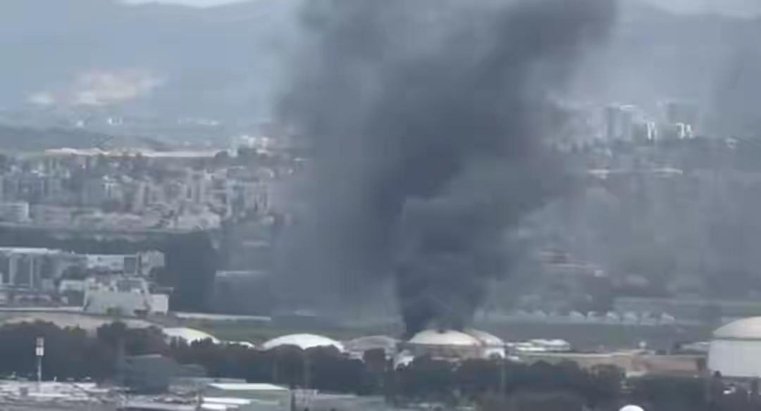 【狗急跳墙】
伊朗政府当地时间3月31日在社交媒体平台发布消息说，伊朗一家生产抗