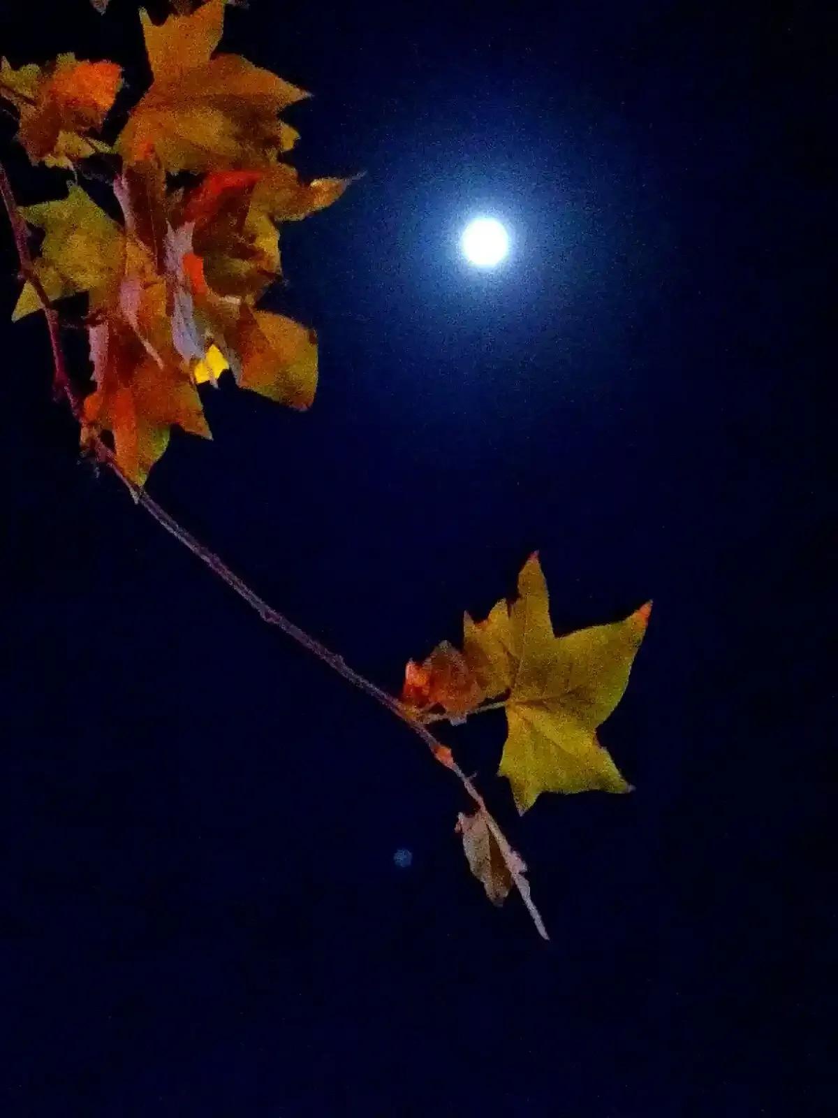 上联：长夜难眠立冬月；
下联：？？？