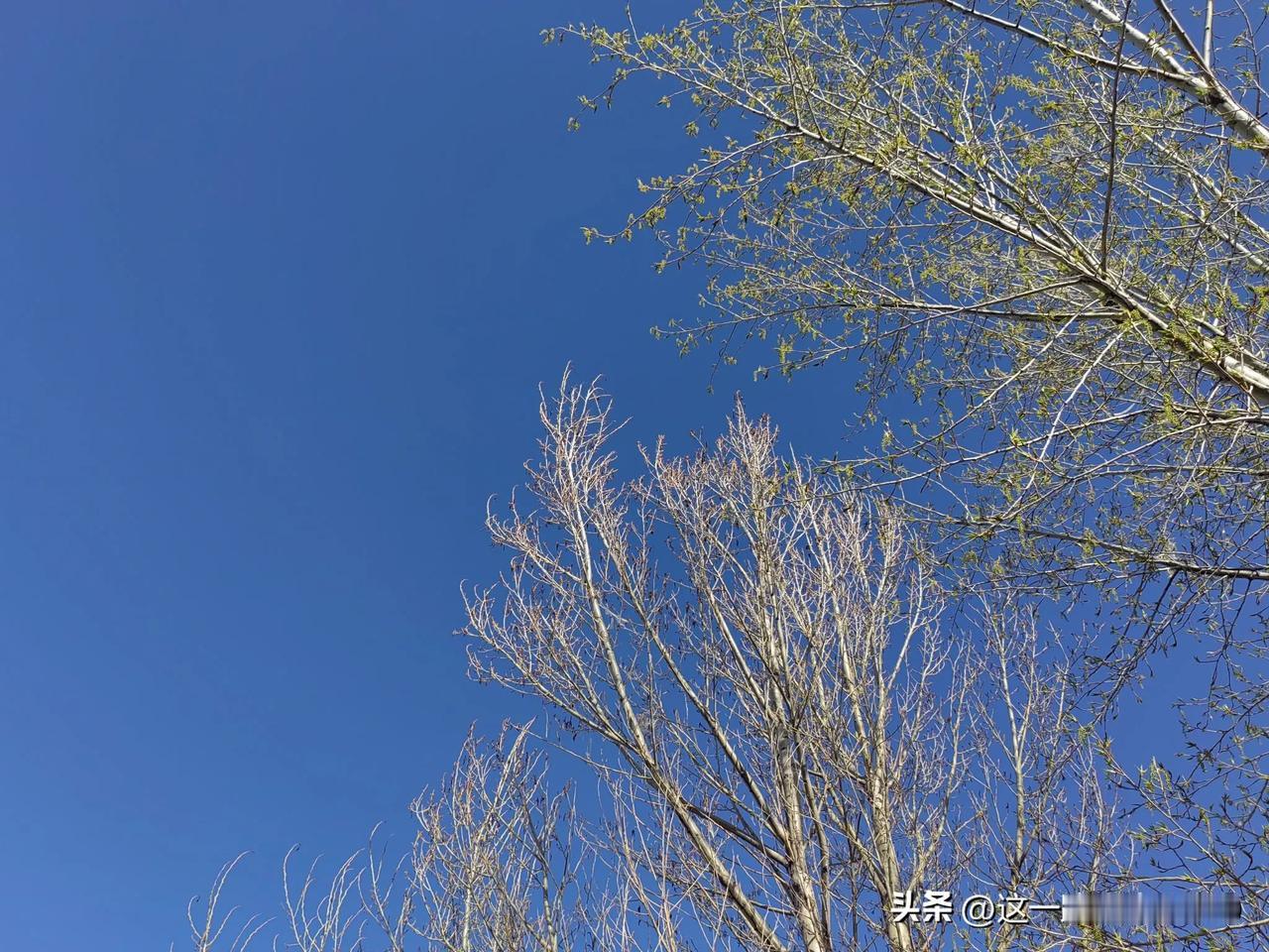 祝朋友们五一小长假玩儿的开心快乐[玫瑰]

中年人碎碎念