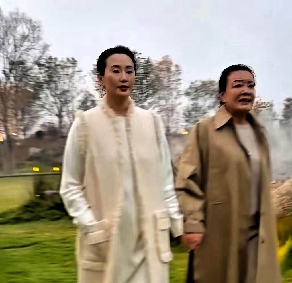 西华的院子：不止是豪宅，更是顶流社交的入场券
我偶然刷到个视频，张兰去林依轮老婆