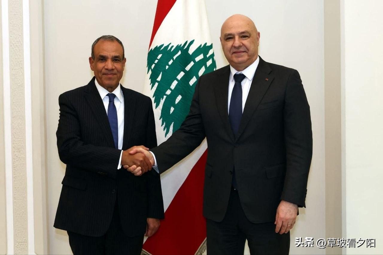 埃及外长巴德尔·阿卜杜勒·阿提于3月26日在贝鲁特会见黎巴嫩总统约瑟夫·奥恩，转