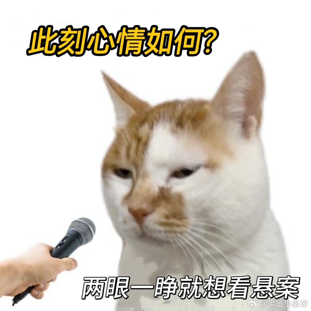 用世界杯的方式打开悬案悬案岳云鹏退场王传君登场 嘉宾交替像球队轮换上场，小岳岳带