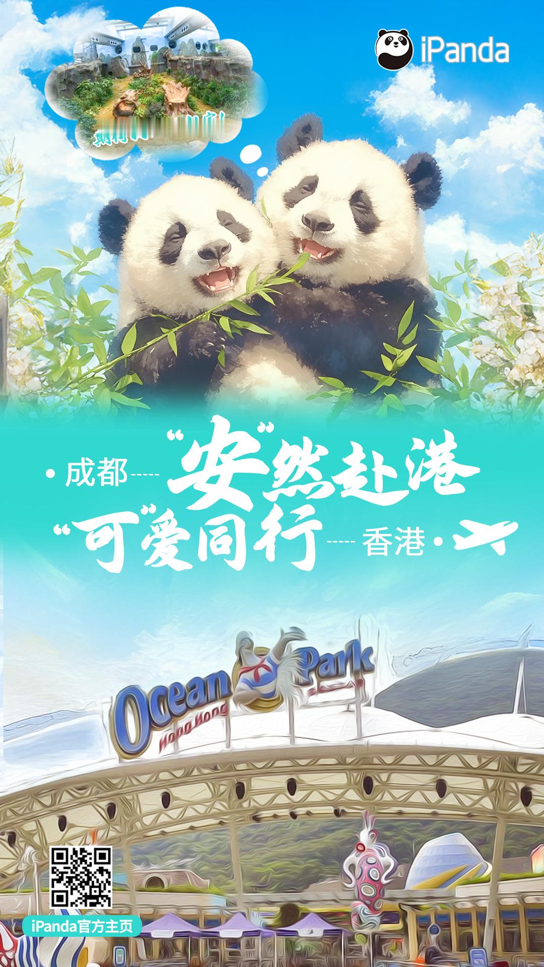 #大熊猫安安可可将入住香港海洋公园#“安”然赴港，“可”爱同行。快来评论区，一起