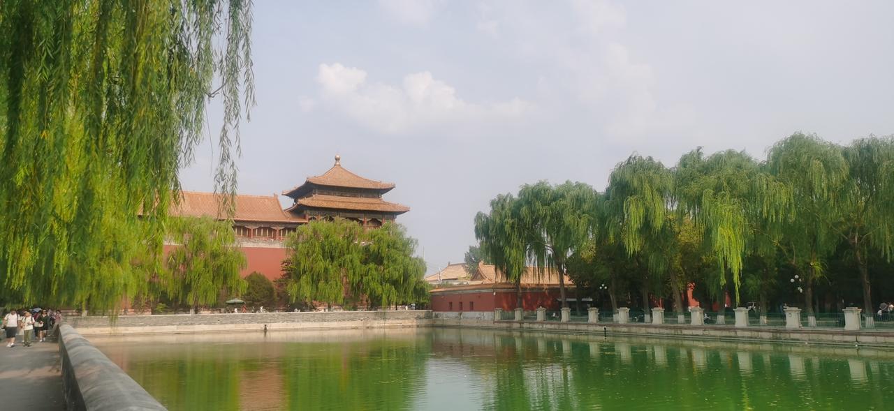 作为一个过来人，同样也是一个正在努力的中年人，我想说的是，不管你正在做什么，不要