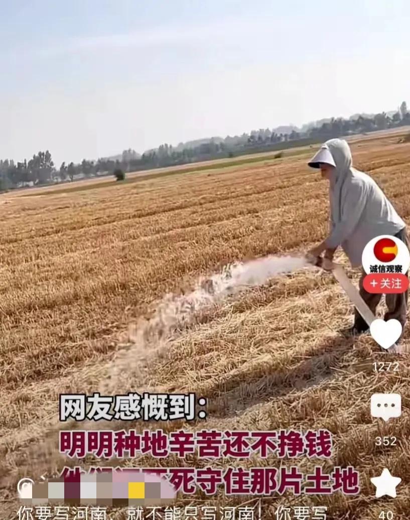 河南连续高温天气，在种情况下，中老年人成了浇地的主力！在本该坐在空调屋享受生活的