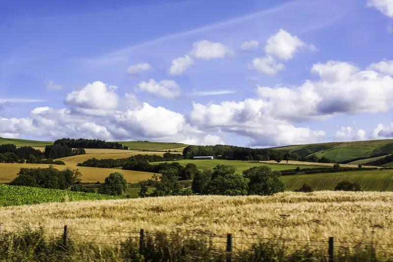 要说美国的祖先是不是英国人，还真有很大关联。1620年“五月花号”载着102名英