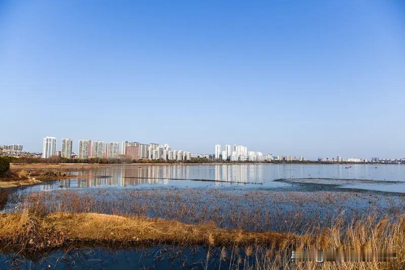 平顶山白龟山的传说（6）白龟山水库修成以后，老渔民们都知道一件事——雾天的夜里，
