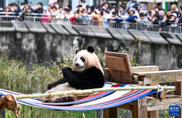 就在刚刚，

中国野生动物保护协会正式宣布，

4月24日，中国野生动物保护协会