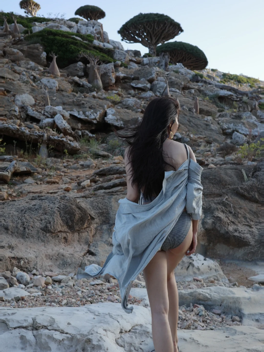 来到了地球🌍上的外星世界｜看到了龙血树