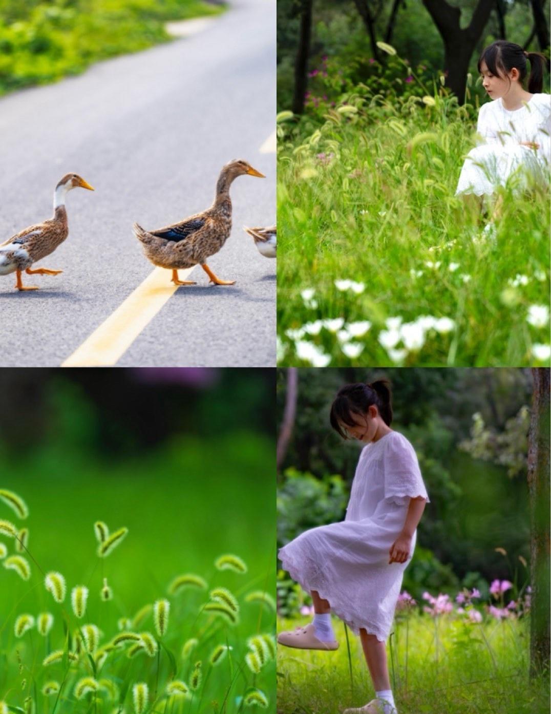 自驾老山，一路绿树葱葱，探秘老山，处处是美景。