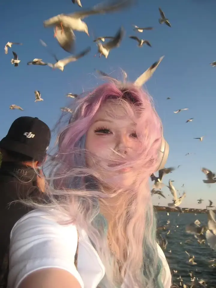 我的计划是一直自由 直到遇到一个人胜过我独活