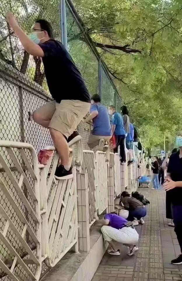 看看你是哪一位？