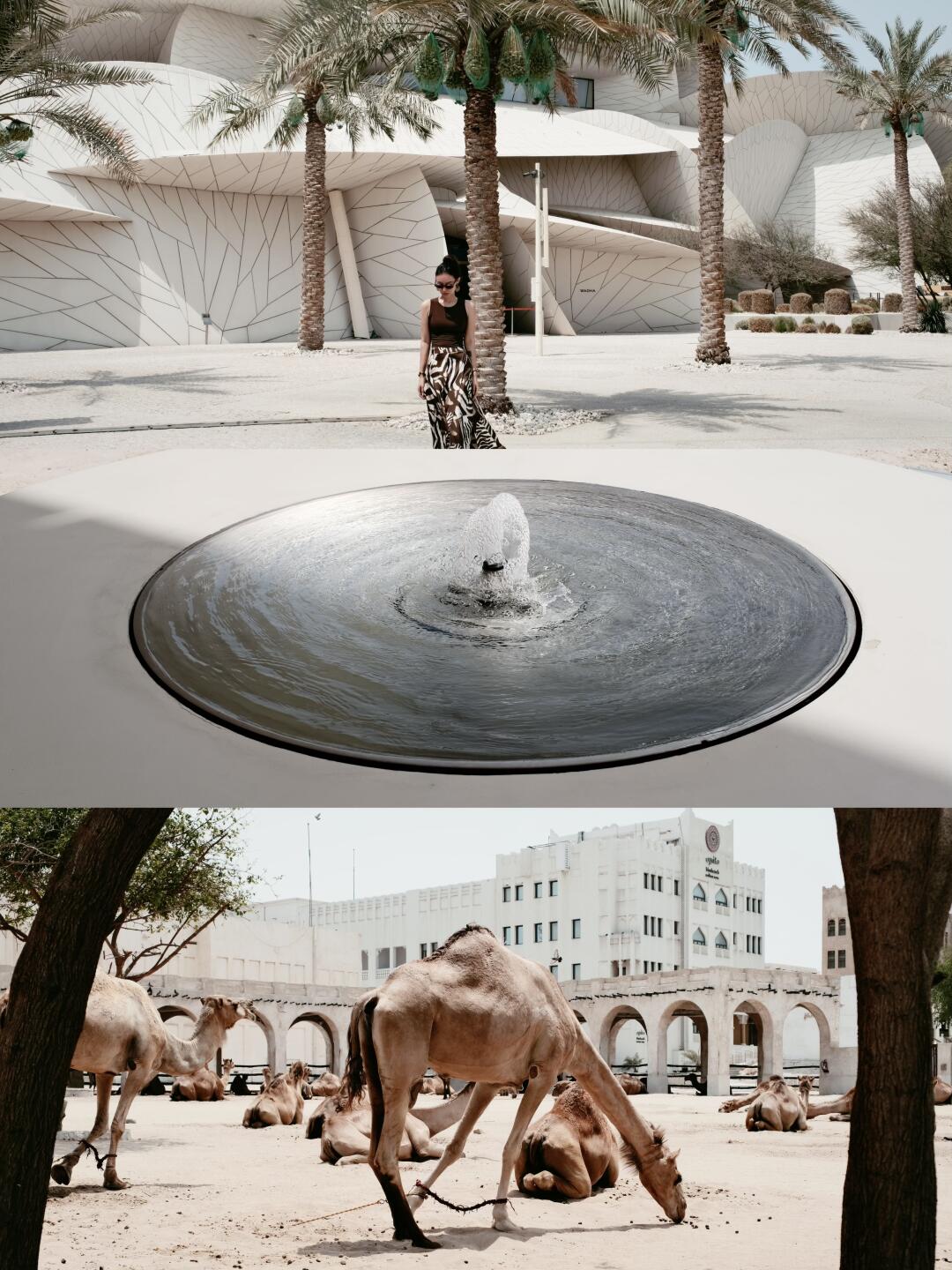 多哈转机1日游·严重低估了这个地方的含金量