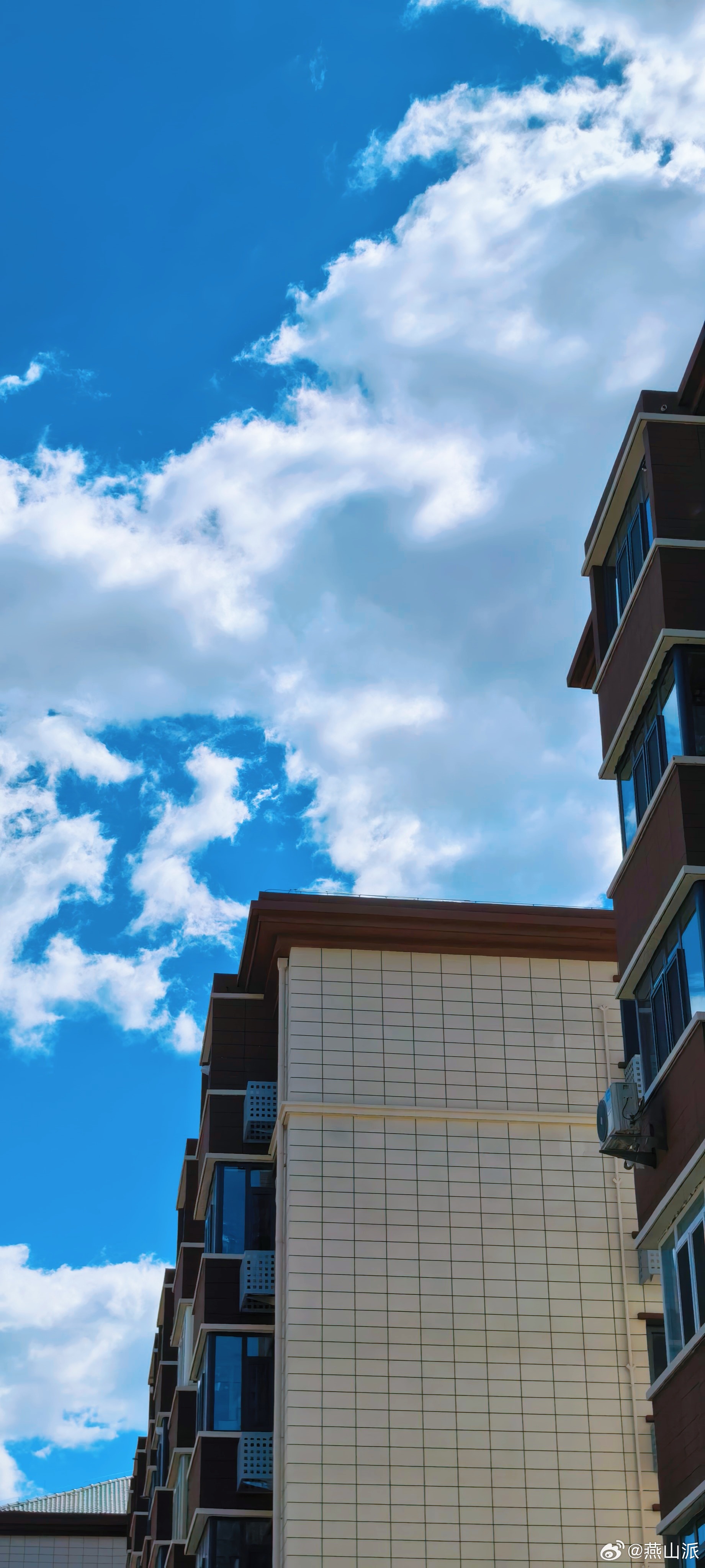 你们猜怎么着？破了一次洗车必下雨魔咒假期最后一天的北京，风和日丽，老天白雪 