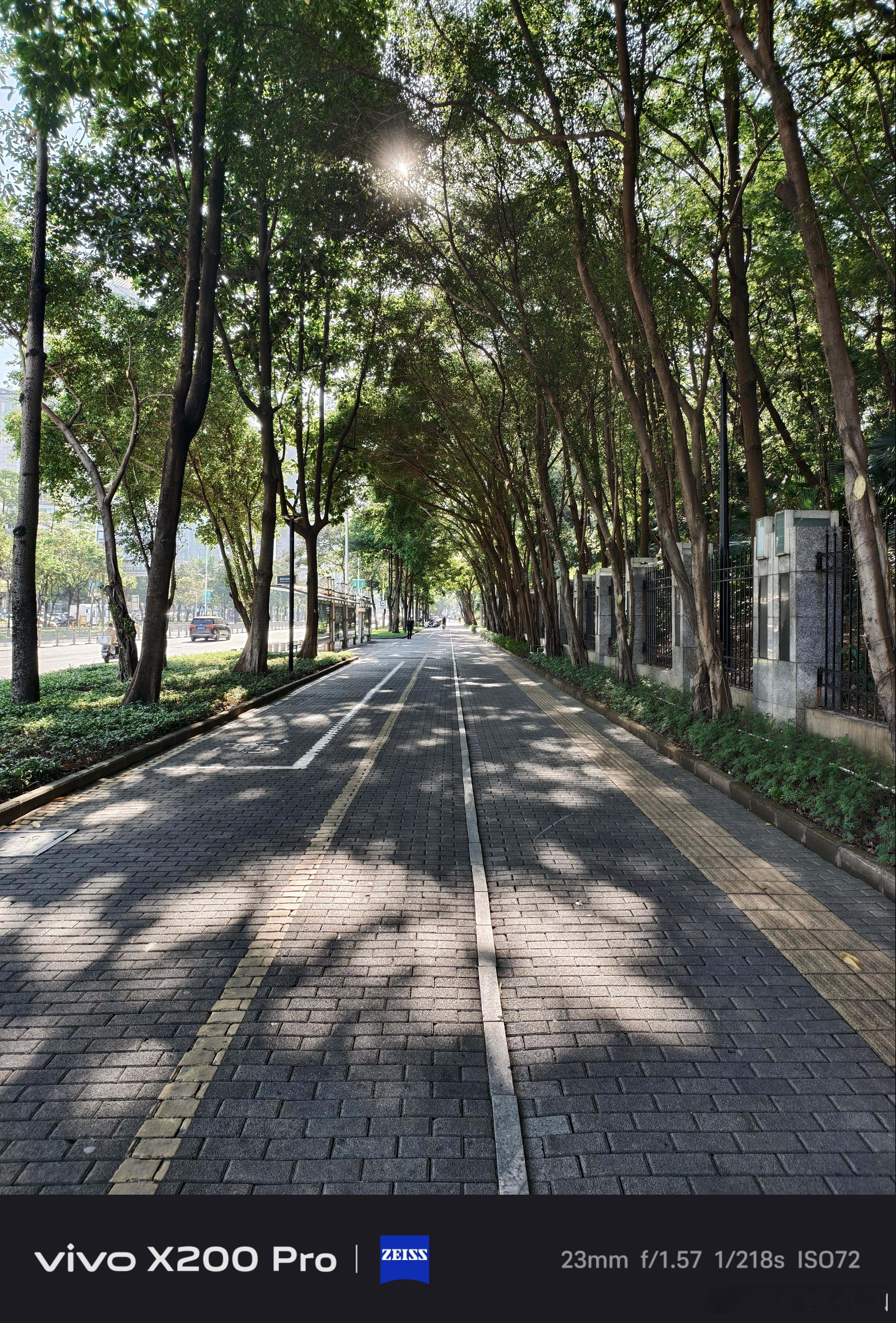 早安[太阳]这几天深圳的阳光很通透  