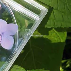 腊月二十三，小年夜的寒风像刀子似的刮过林家村。柴房里，林晚在干草堆上蜷缩着醒来，