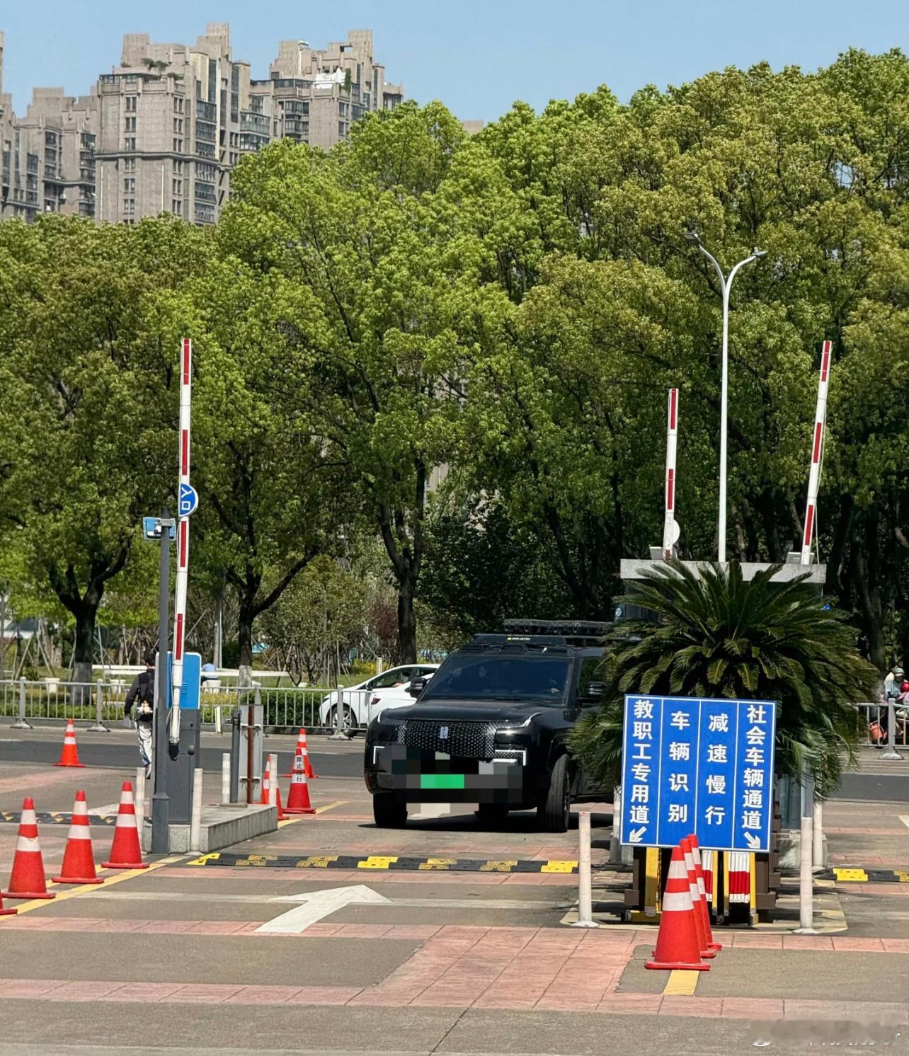 最近明显感觉到，大学校园里比亚迪的车越来越多，海鸥、海豹、汉、仰望这些车型，尤其