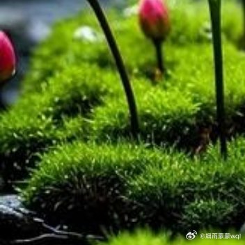 每一天都是崭新的，不为过去纠结，不为将来担忧，活在当下最好，有计划也会有变化，要