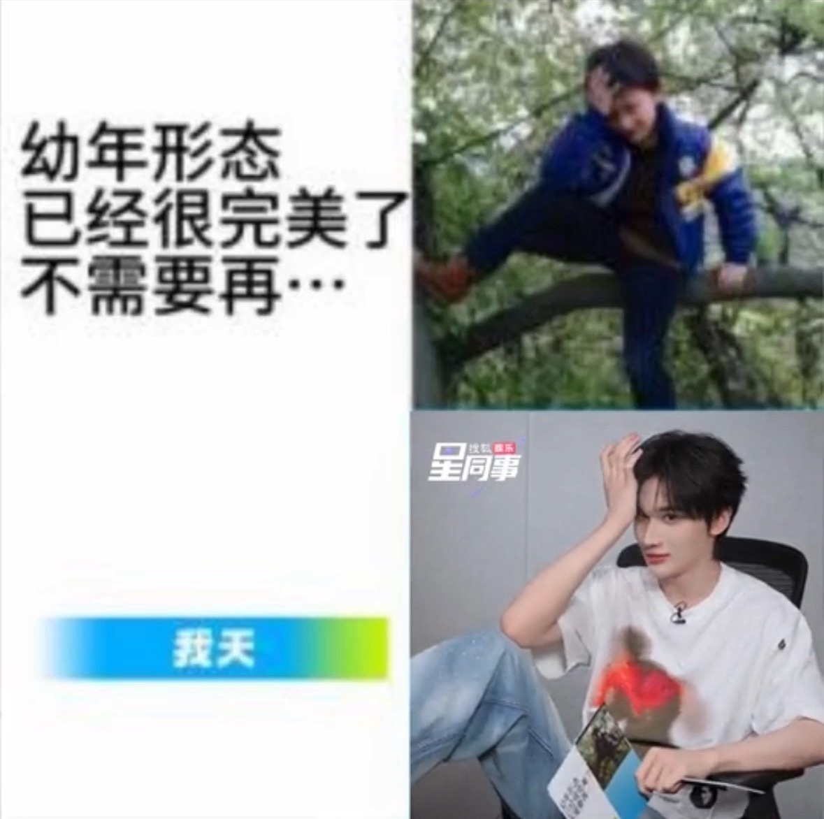 幼年形态已经很完美了不需要再… 