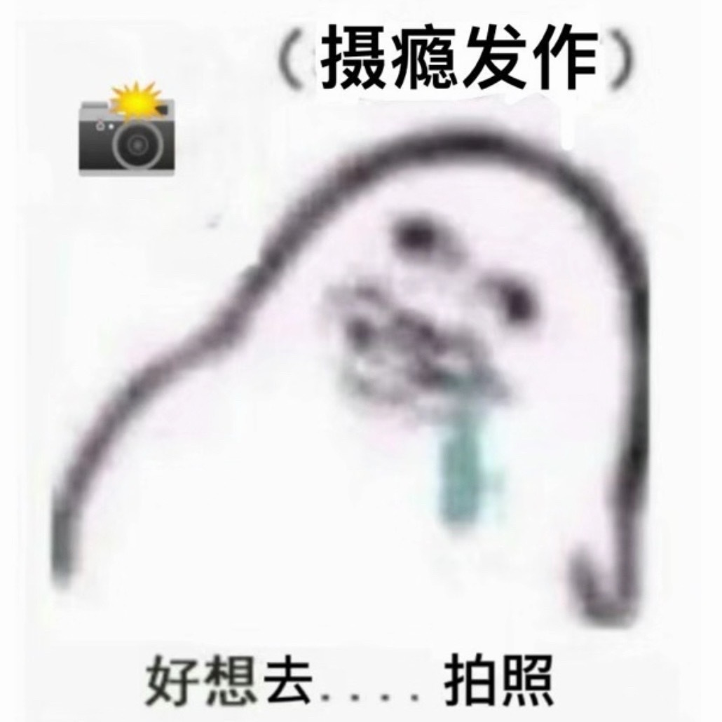 以后还是少来这种相机厂的活动看了就心动 看了就心动老想搞采购……红烧小狮子头佑酱