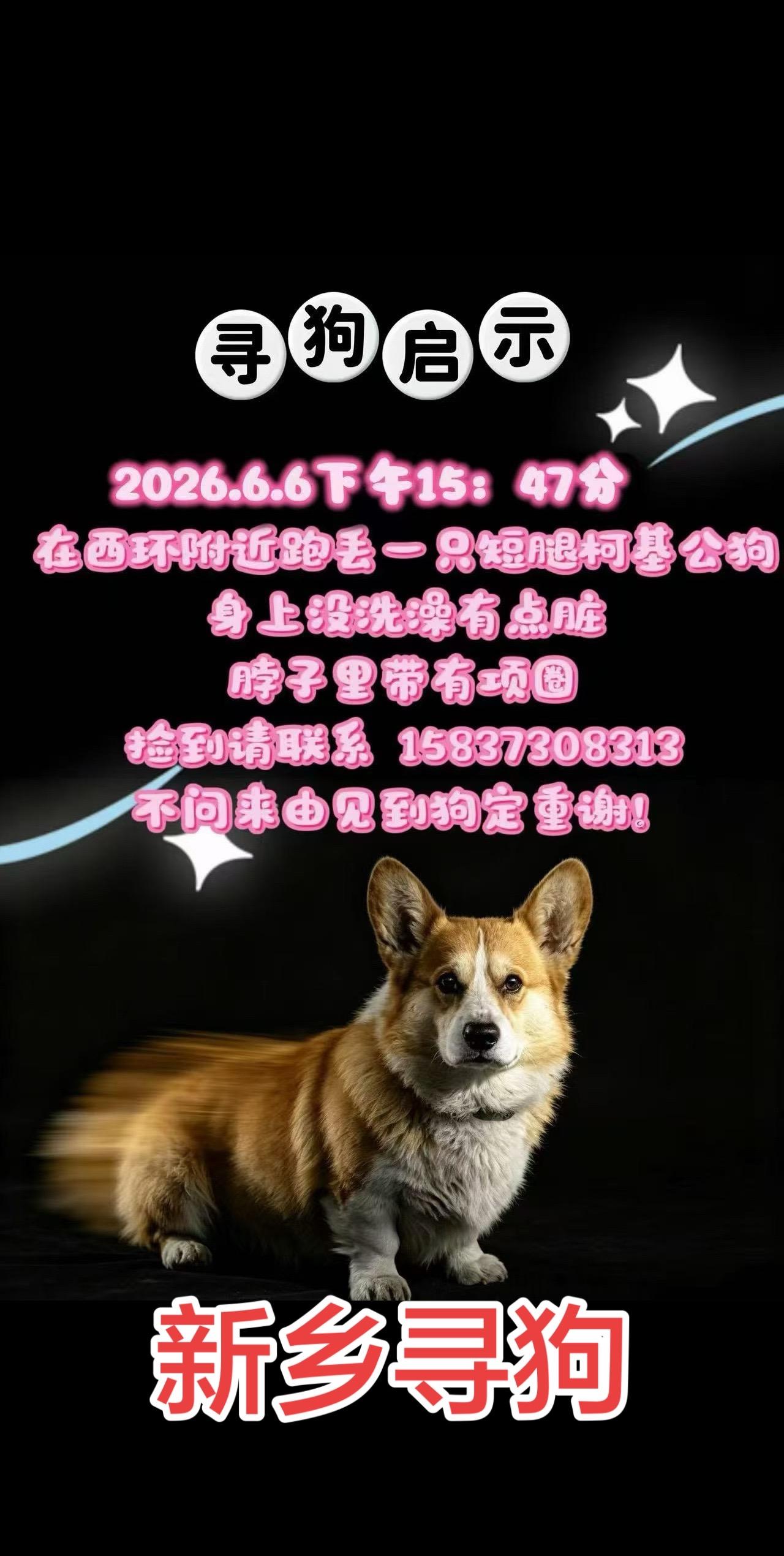 有线索请@姗姗