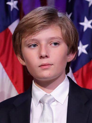 不过有一点我可以确定，巴伦真是他和梅拉尼娅的儿子，不是梅拉尼娅和爱泼斯坦的。这都