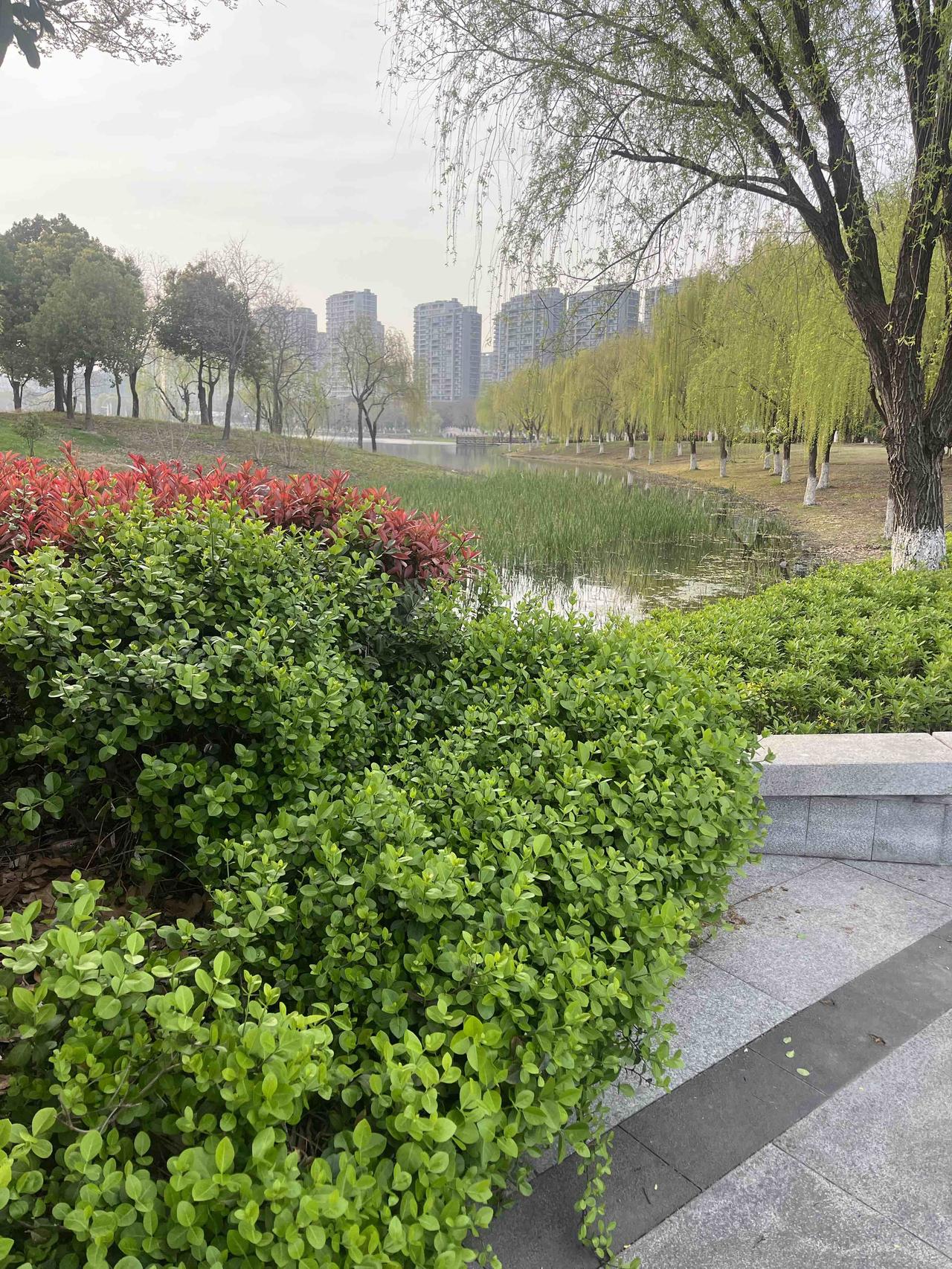 养生不说的秘密：每天走走路，能把5种病“走没”！


你胖？走掉。
你血脂高？走