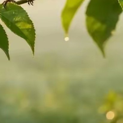 看似幸运和巧合的事，都源自于悄悄的努力。早安，元气满满的一天 