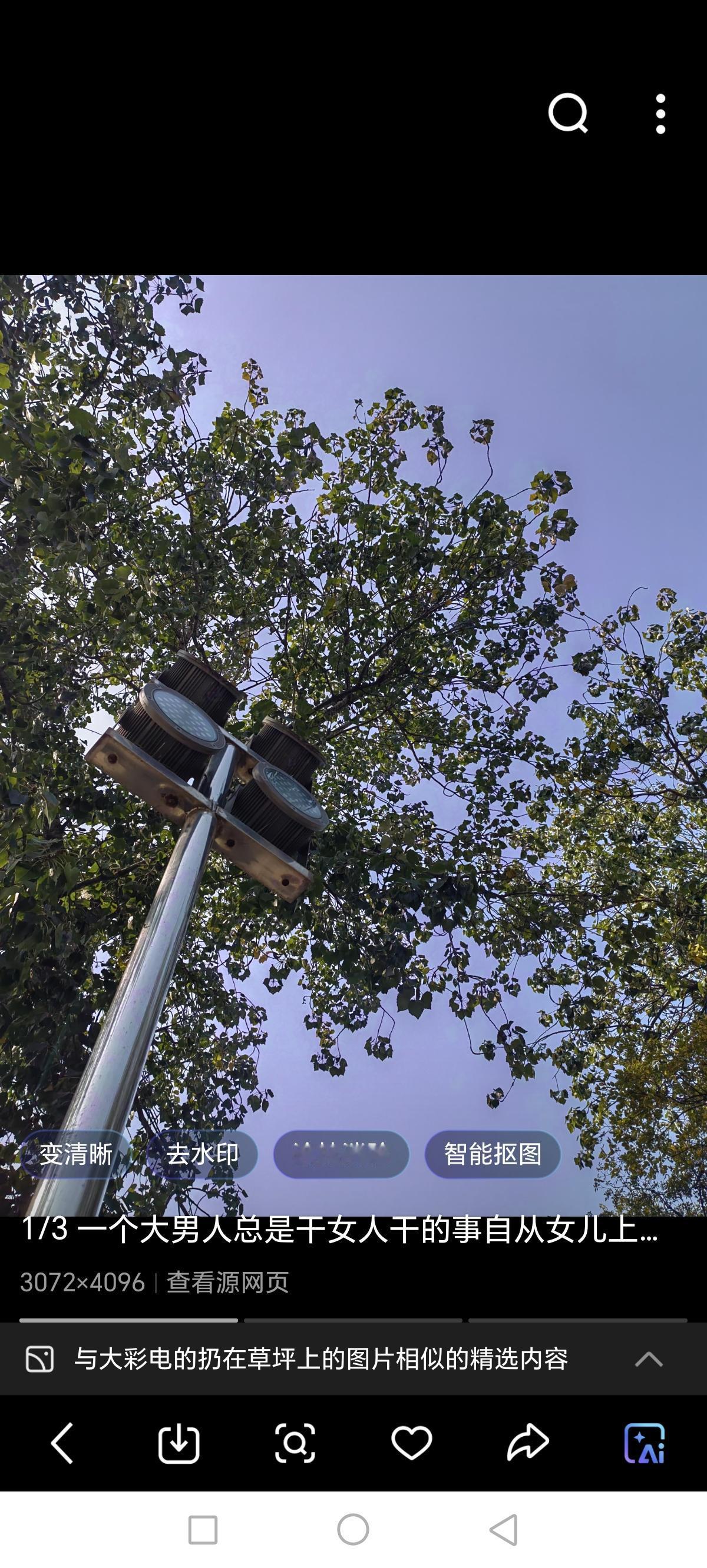 昨天和老伴儿开着双人电动轮椅遛弯，路过我华人朋友家门前时，看到她正在和老伴收拾车