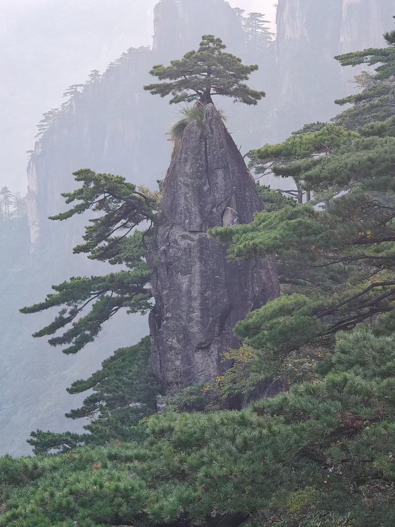 给自己一句话，你会说什么?
不如意事常八九，很多时候让子弹飞一会，时间可以抹平一