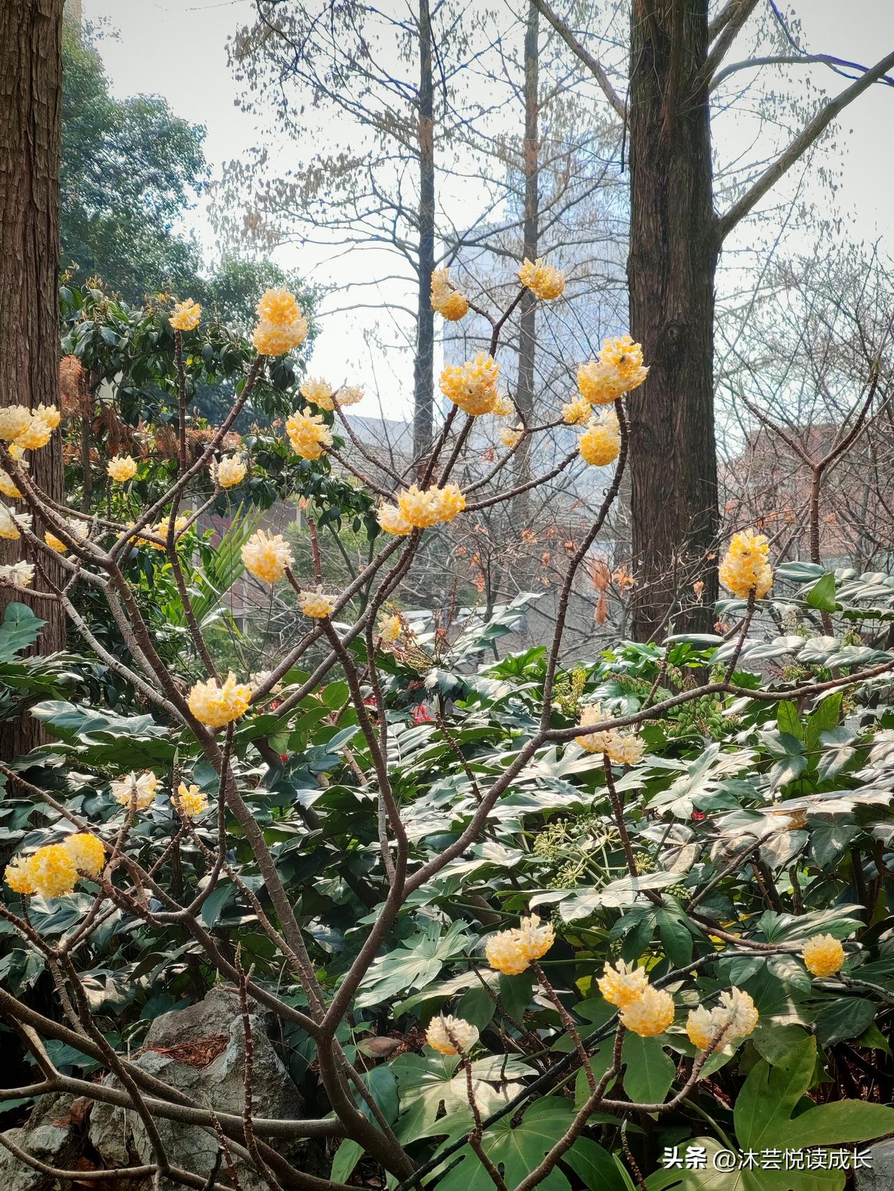 猜猜吧，这是哪儿，这两天天气真好，背上包，吹着小风，一人闲庭信步，边走边拍