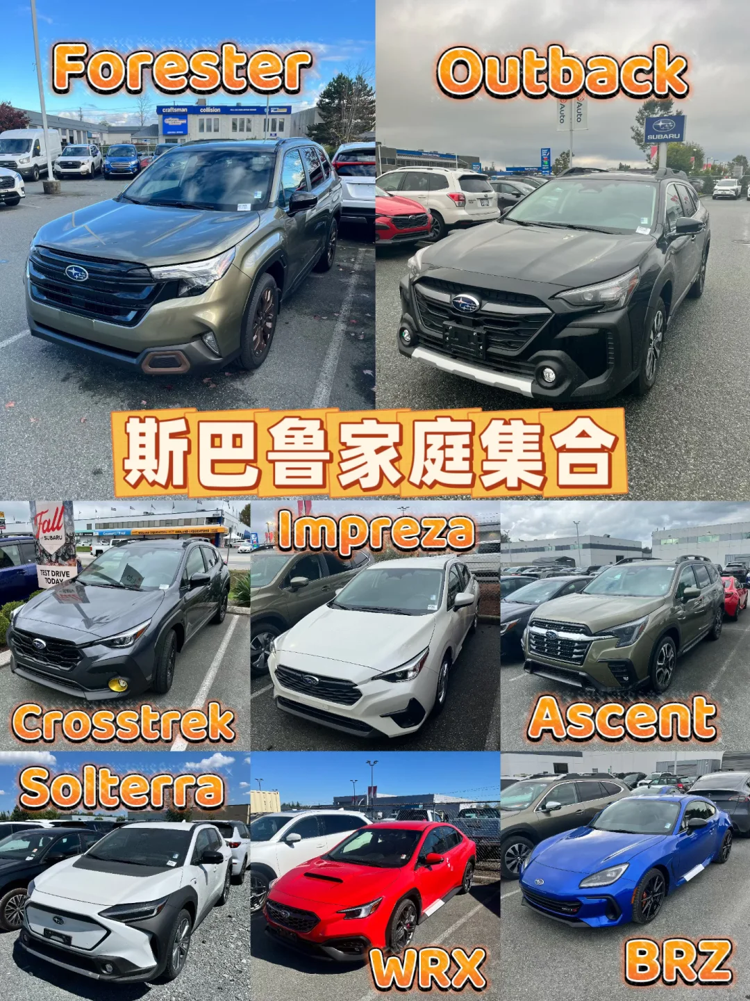 斯巴鲁大家庭集合啦