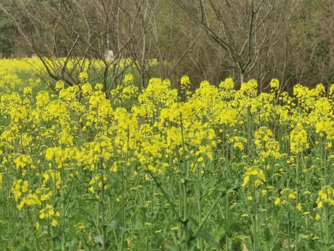 晒出你的本地生活