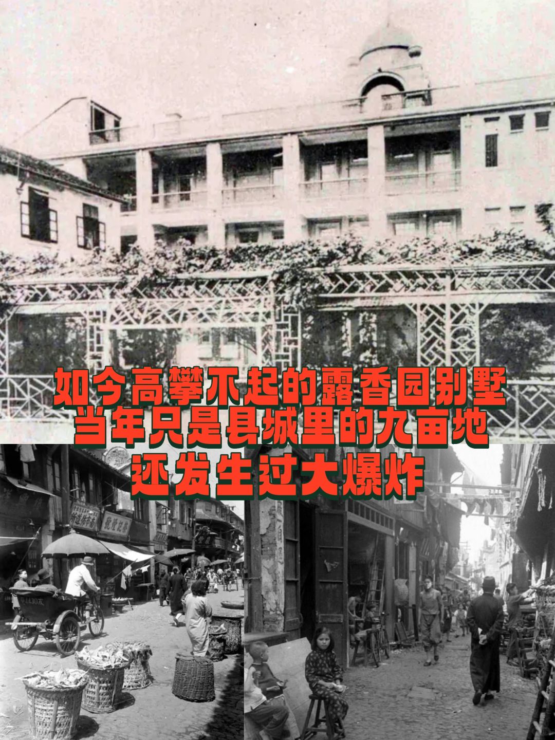 如今你高攀不起的露香园别墅区的前世九亩地
