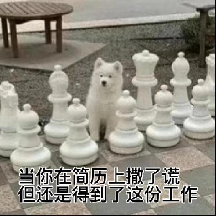 在职场的海洋中，诚信是航行的灯塔。今天，我带着一份工作的承诺踏入了公司的大门，但